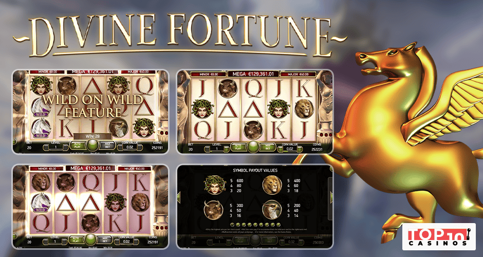 Divine Fortune