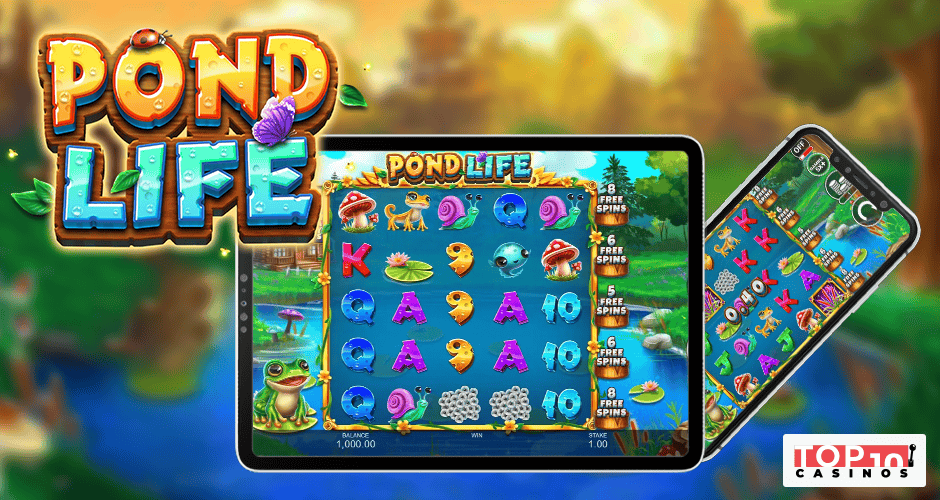 Pond Life