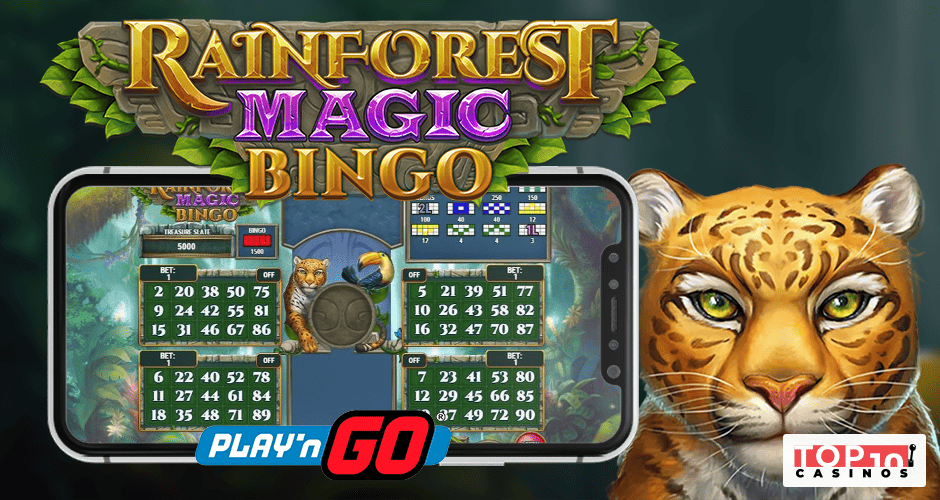 Rainforest Magic Bingo
