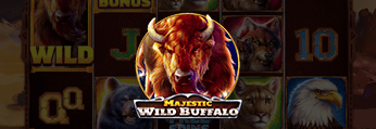 Majestic Wild Buffalo
