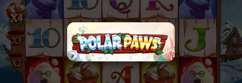 Polar Paws