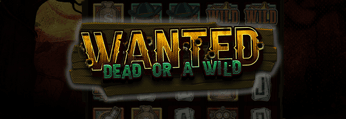 Wanted Dead or a Wild