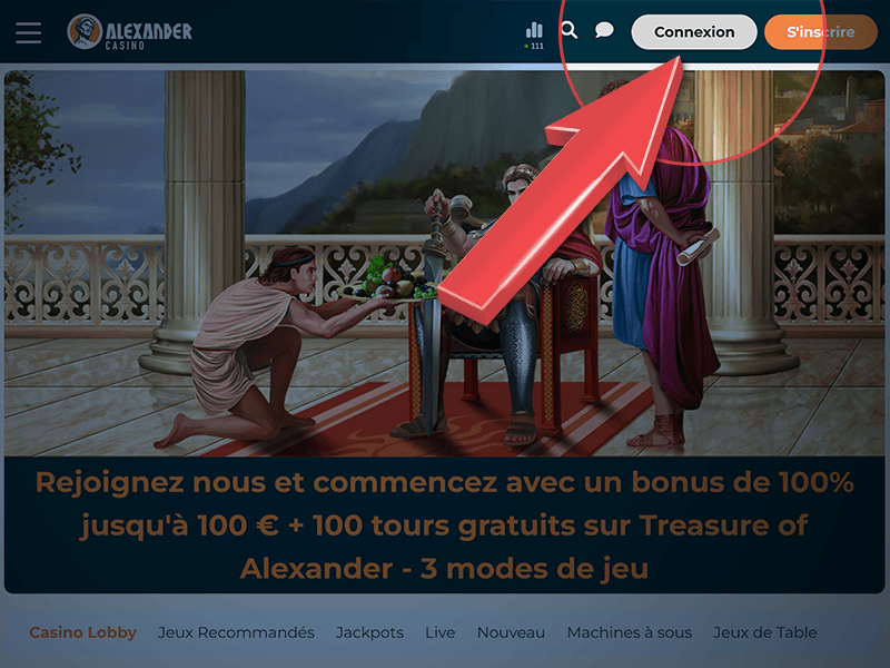 Cliquez sur « Connexion »