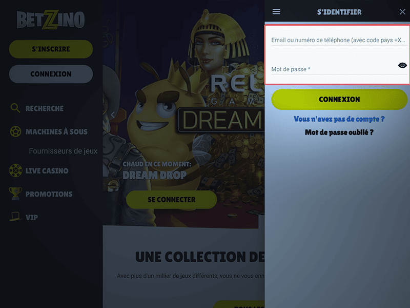 Insérez vos identifiants de connexion