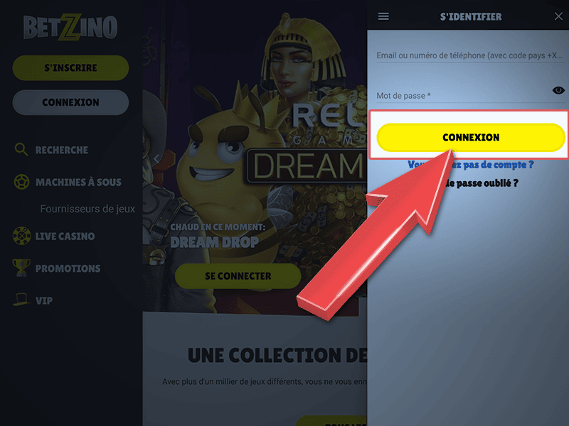 Cliquez sur ''Connexion''