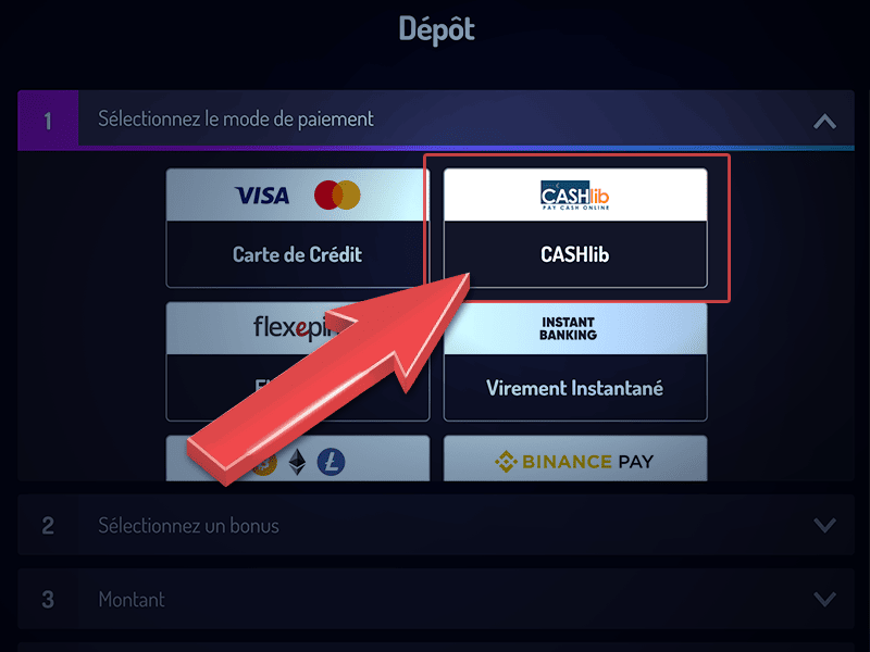 Sélectionnez CASHlib