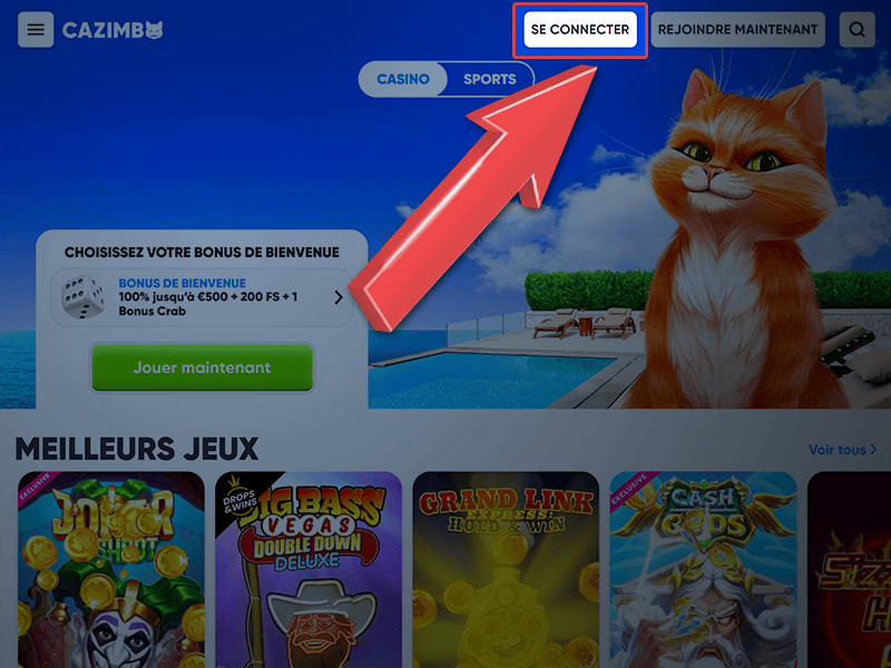 Appuyez sur « Se Connecter »