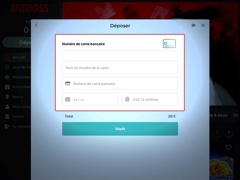 Fournissez les informations de paiement