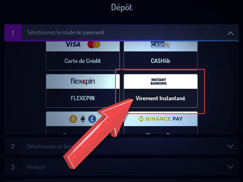 Sélectionnez le virement bancaire