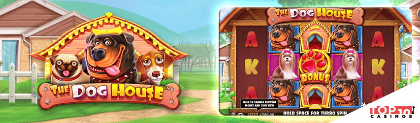The Dog House