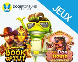 jeux de dogs fortune casino