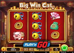 Machine a sous Big Win Cat de Play N Go enfin disponible