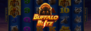 Buffalo Blitz Live