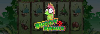 Buggy Bonus