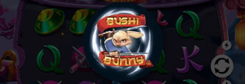 Bushi Bunny