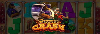 Coyote Crash