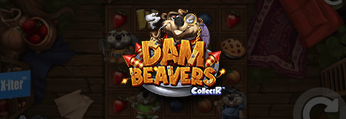 Dam Beavers