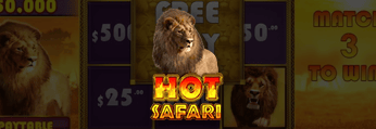 Hot Safari Scratchcard