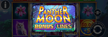 Panther Moon Bonus Lines