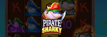 Pirate Sharky