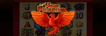 Super Red Phoenix