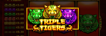 Triple Tigers