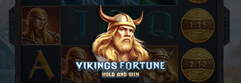 Vikings Fortune