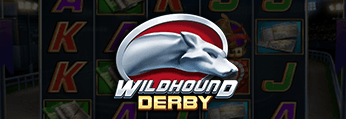 Wildhound Derby