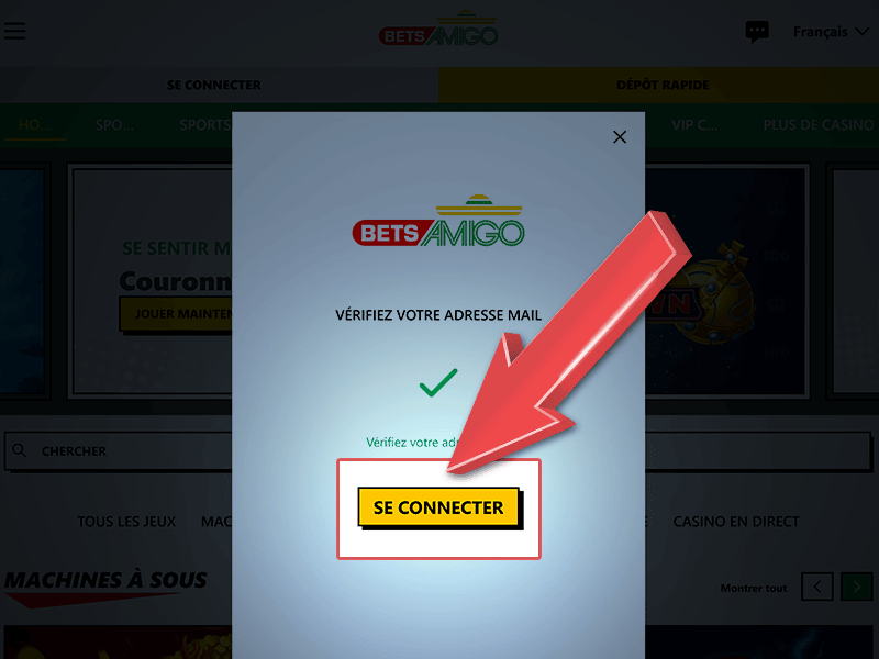 Appuyez sur « Se connecter »