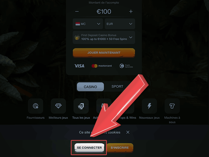 Appuyez sur « Se Connecter »
