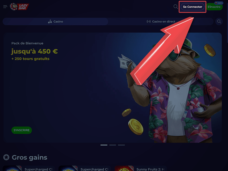 Cliquez sur « Se Connecter »