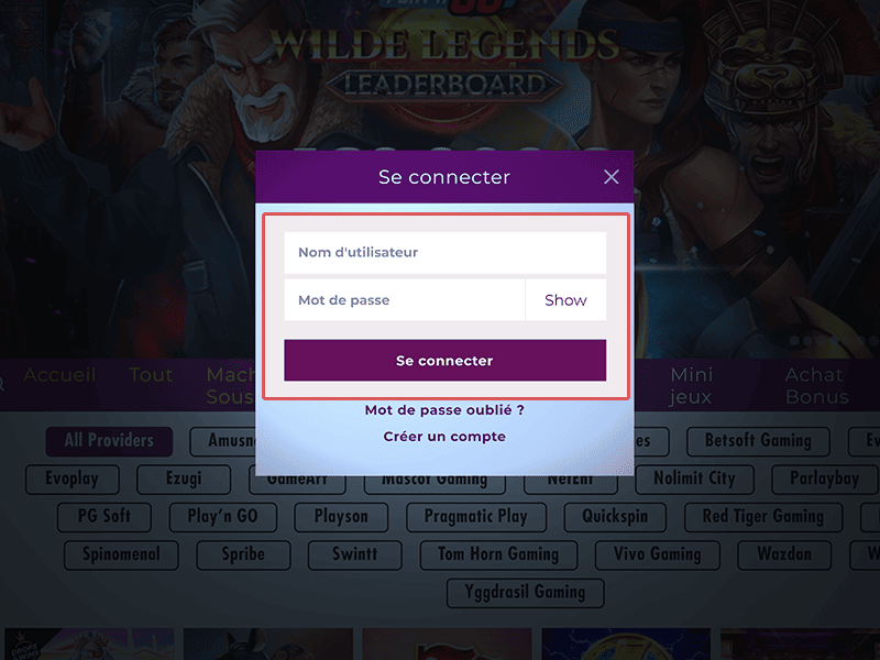 Précisez votre mail et votre mot de passe