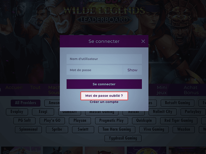 Cliquez à nouveau sur ''Se connecter''
