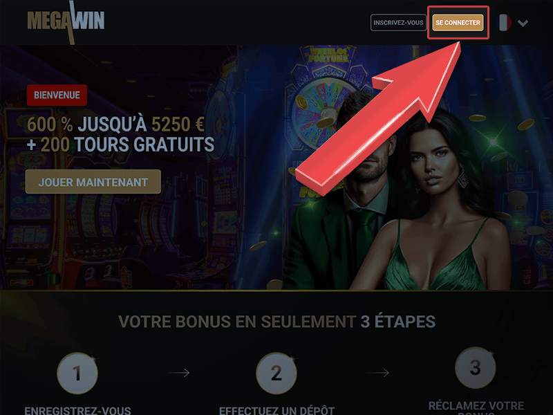 Appuyez sur « Se Connecter »