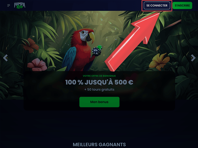 Appuyez sur « Se connecter »