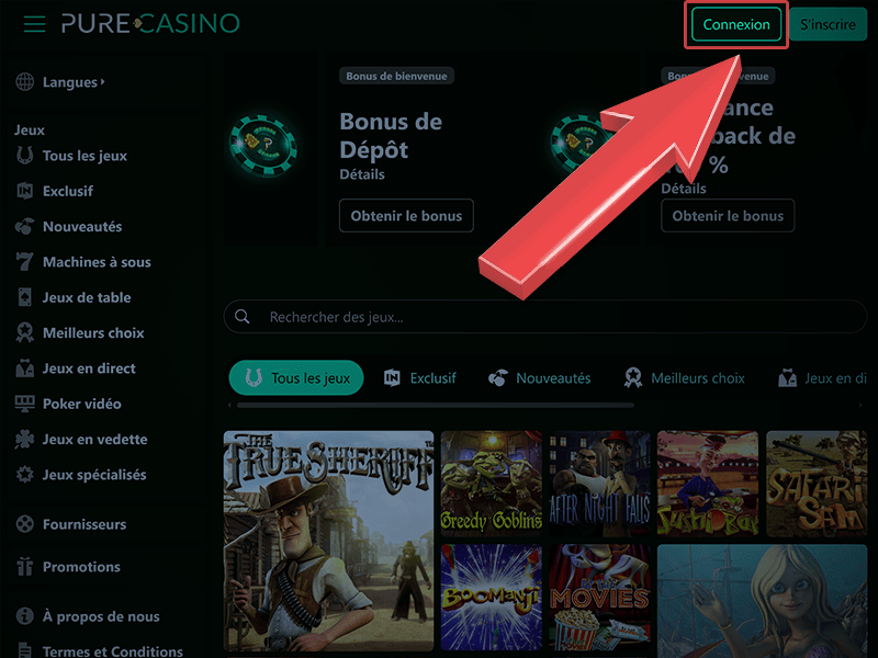 Cliquez sur le bouton « Connexion »