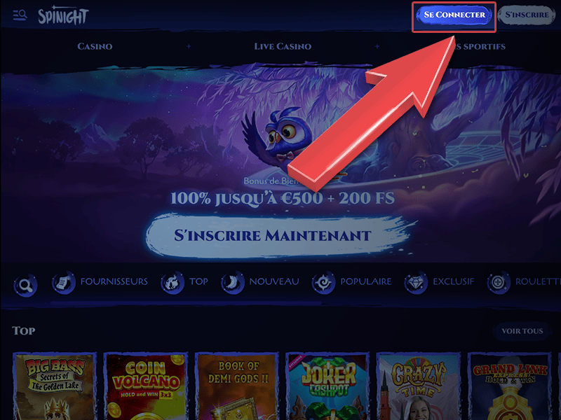 Appuyez sur « Se Connecter »
