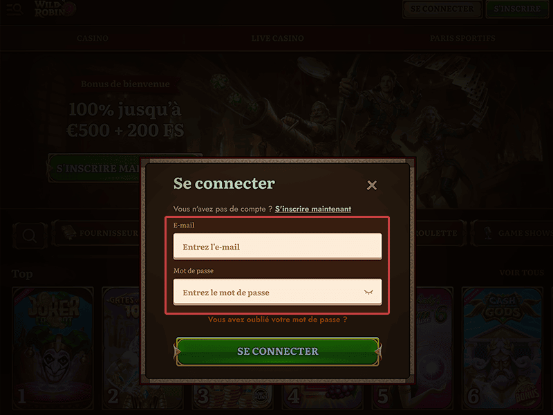 Saisissez vos données de connexion