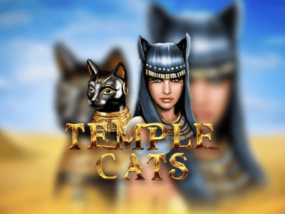 Temple Cats