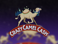 Crazy Camel Cash