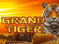 Grand Tiger