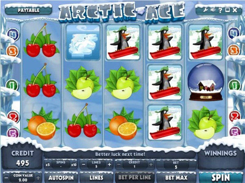 Arctic Ace