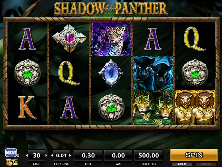 Shadow of The Panther