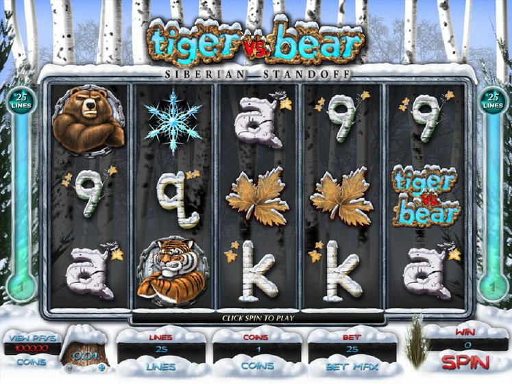 Tiger Vs. Bear Siberian Standoff