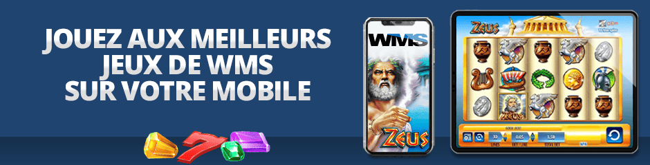 application mobile de wms