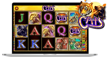 jeux machines a sous cats