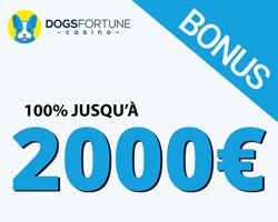 bonus de dogs fortune casino