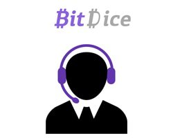 assistance bitdice casino