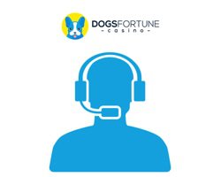 support client de dogs fortune casino