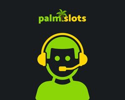support client de Palmslots casino